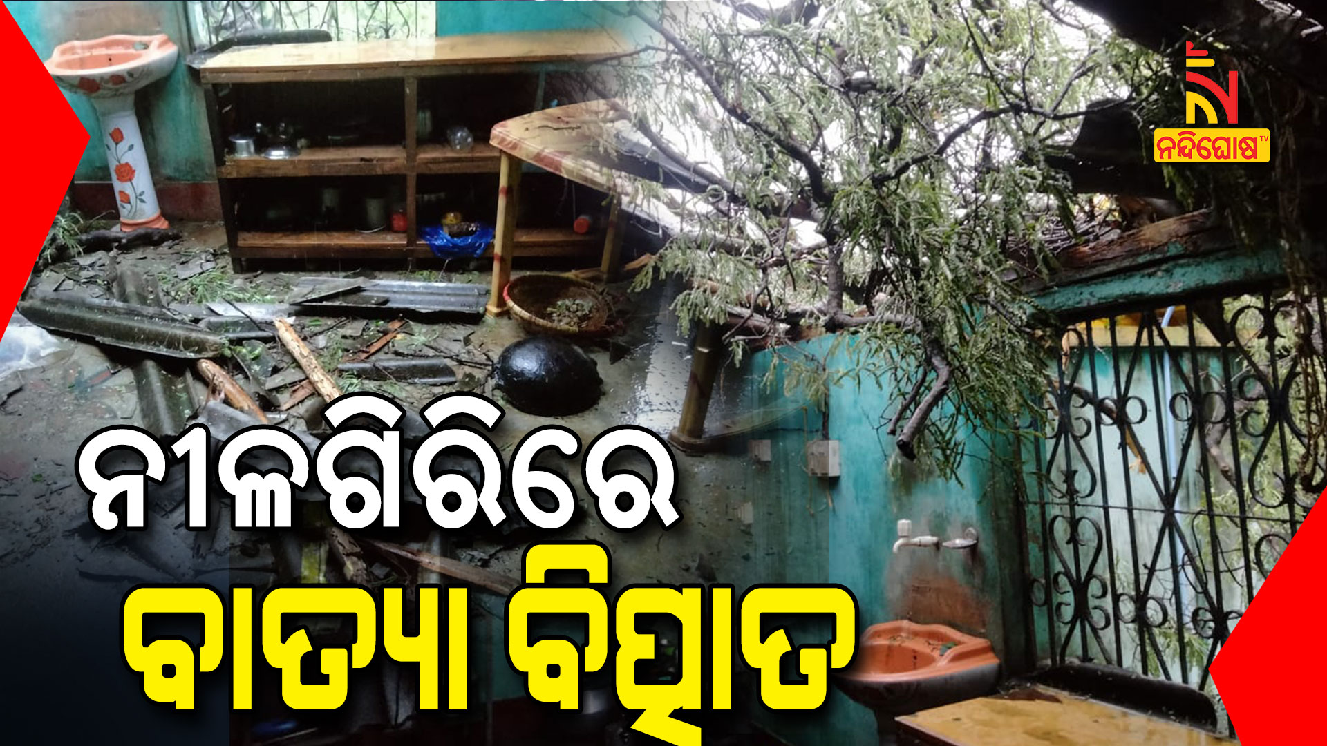 ନୀଳଗିରିରେ-ବାତ୍ୟା-ବିତ୍ପାତ