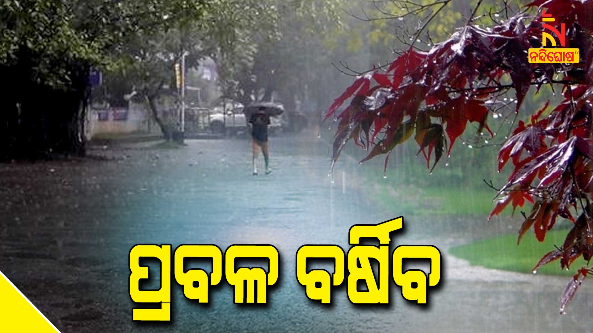 ପ୍ରବଳ-ବର୍ଷିବ