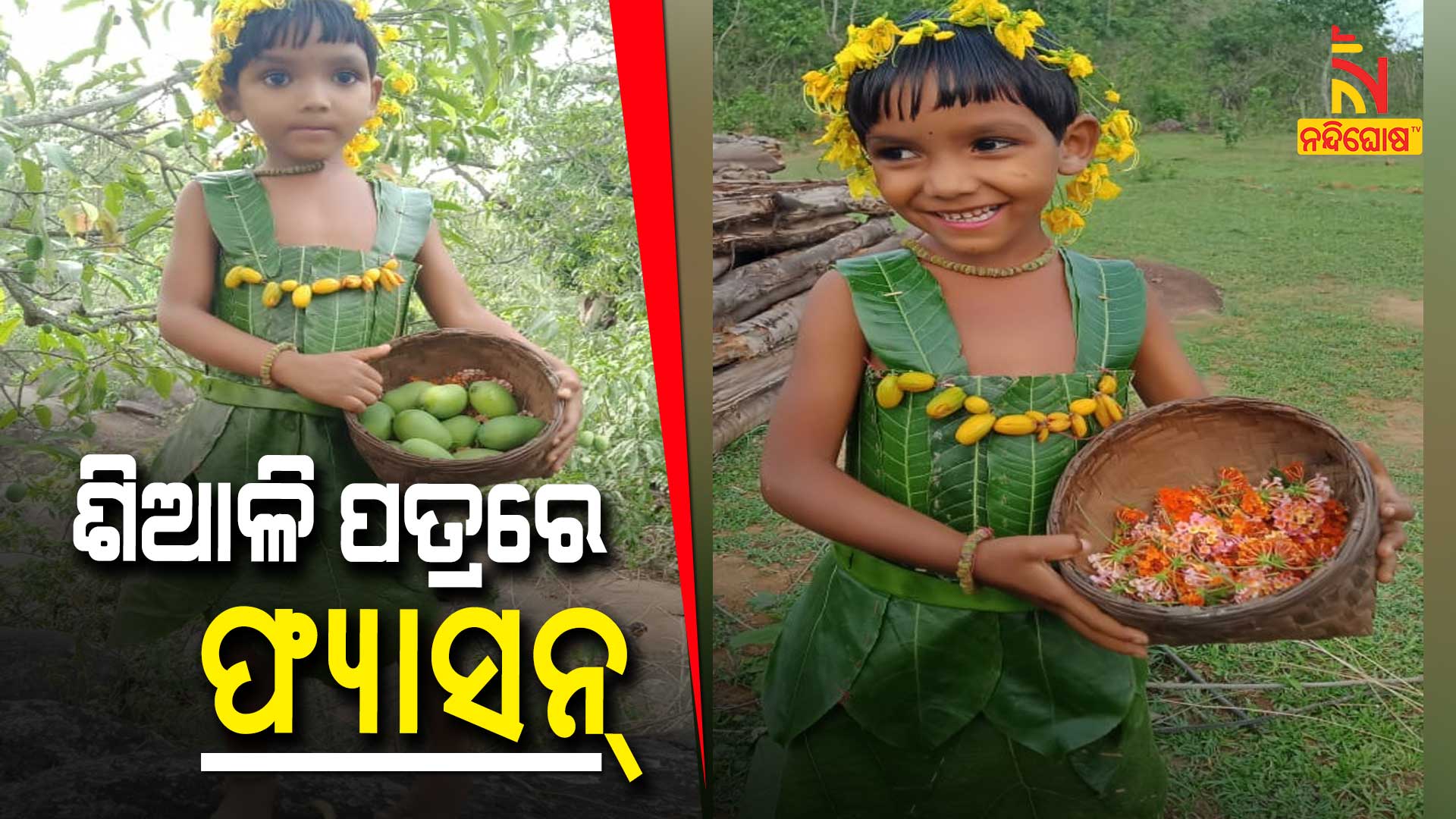 ଶିଆଳି-ପତ୍ରରେ-ଫ୍ୟାସନ୍