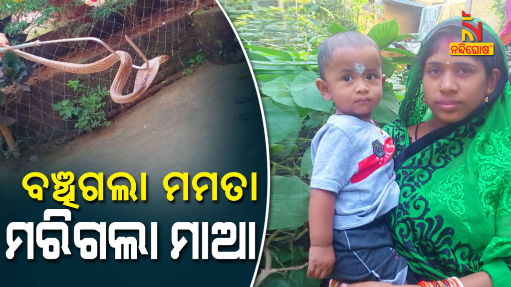 Mother Rescued His Son And Dies In Snake Bite Jajpur