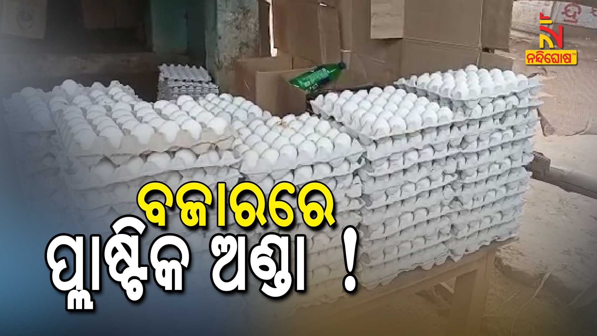 Plastic Egg In Kamaskhya Nagar Market