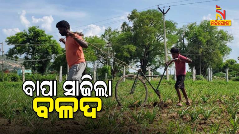 Tamilnadu Farmer Use Sons Bicycle To Plough Field Due To Faced The Brunt Of Lockdown