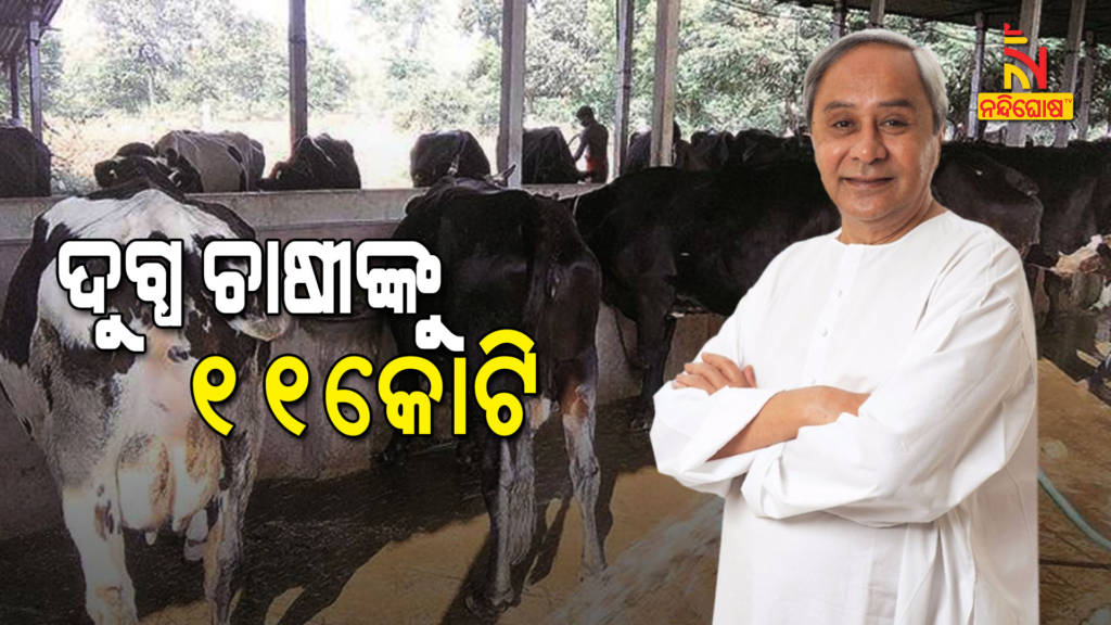 Odisha CM Naveen Distributed 11 Crore To 1 Lakh Milk Farmer As Covid Package