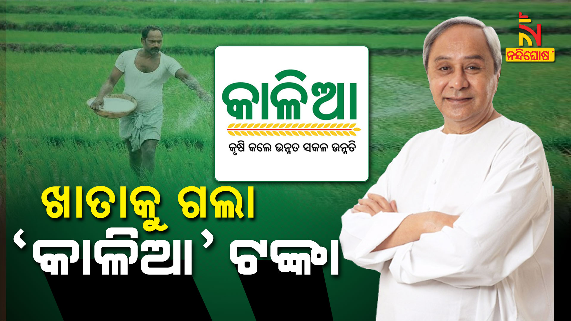 CM Naveen Patnaik Grants Rs742.58 Crs Under KALIA Assistance to 37,12,941 Small And Marginal Farmers