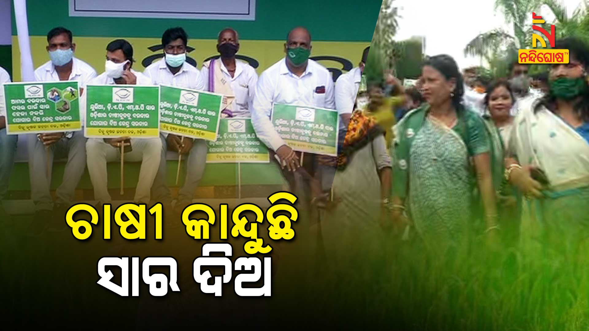 Fertilizer Shortage In Odisha, BJD Protest Against Centre Fertilizer Shortage In Odisha, BJD Protest Against Centre Fertilizer Shortage In Odisha, BJD Protest Against Centre