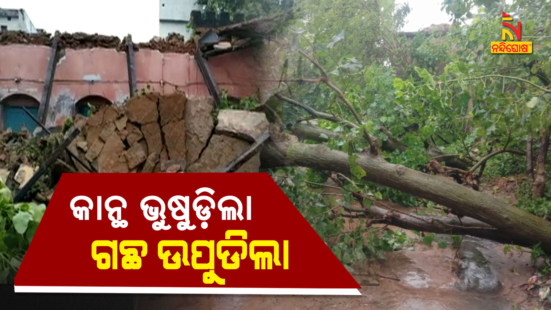 କାନ୍ଥ-ଭୁଷୁଡ଼ିଲା