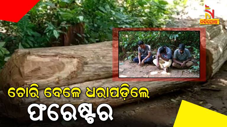 Forester Along Two Employee Caught By Villagers During Tree Cut