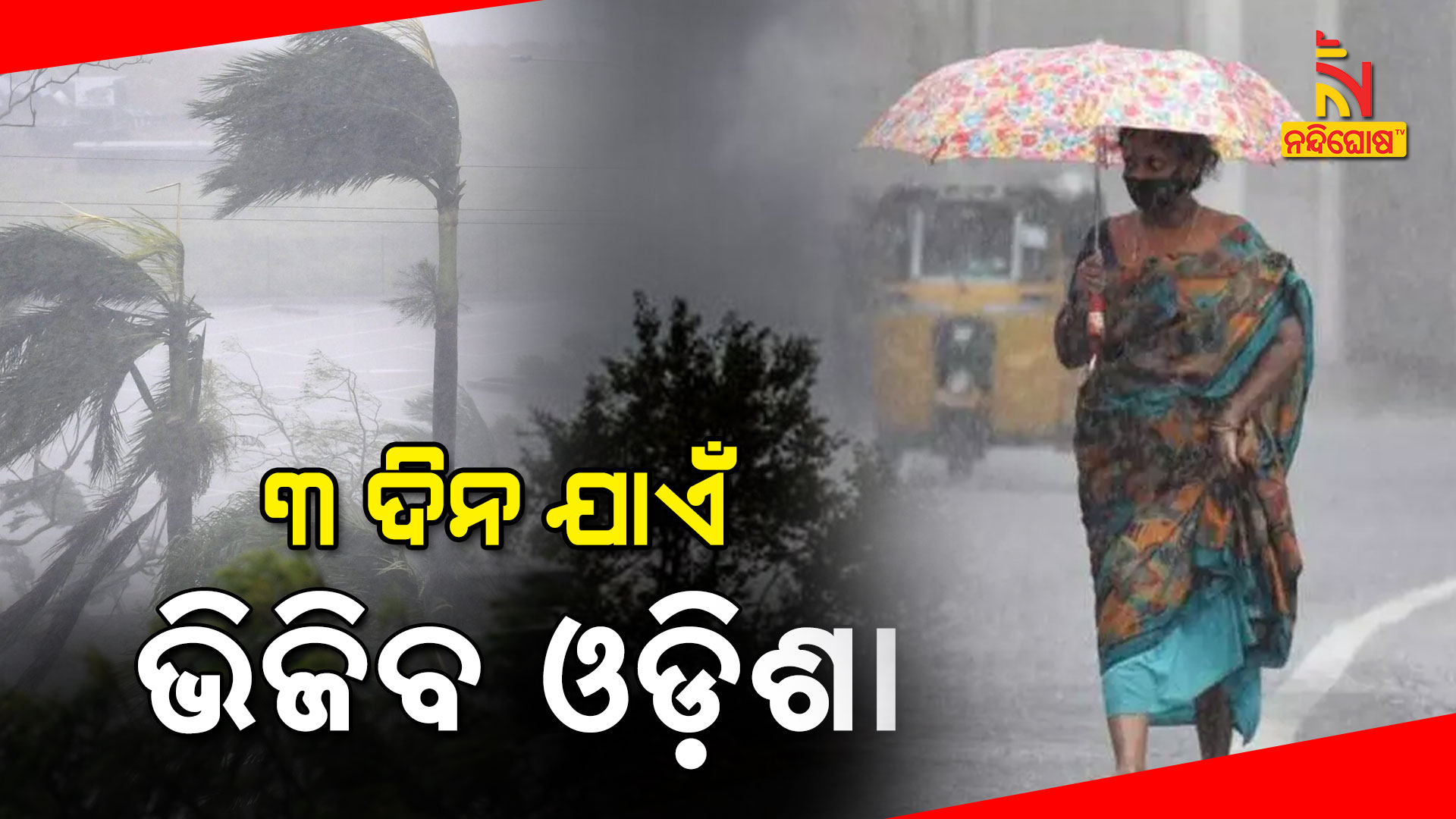 Low Pressure Rain To Continue Till Next Three Days Odisha Low Pressure Rain To Continue Till Next Three Days Odisha