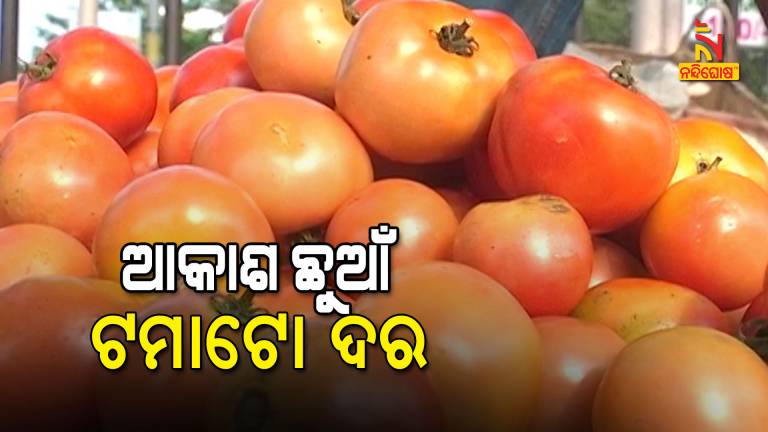 Tomato Price Hits Century In Odisha