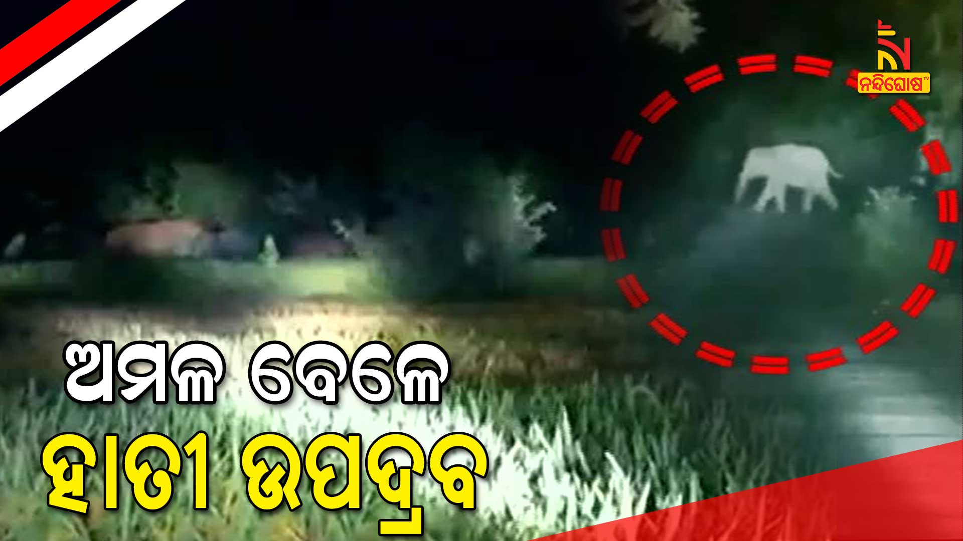 ଅମଳ-ବେଳେ-ହାତୀ-ଉପଦ୍ରବ-10am-sonepur