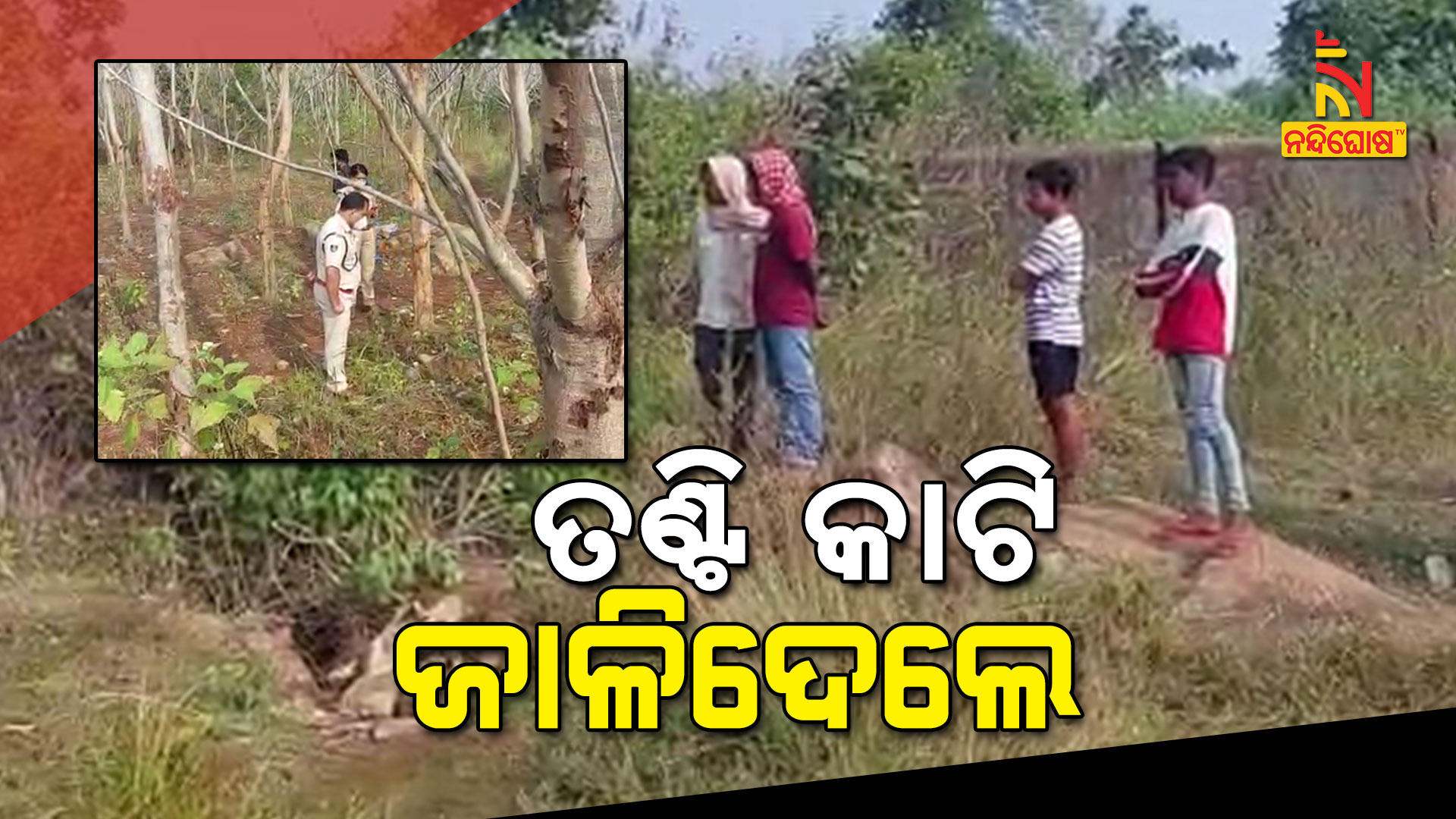 ତଣ୍ଟି-କାଟି-ଜାଳିଦେଲେ