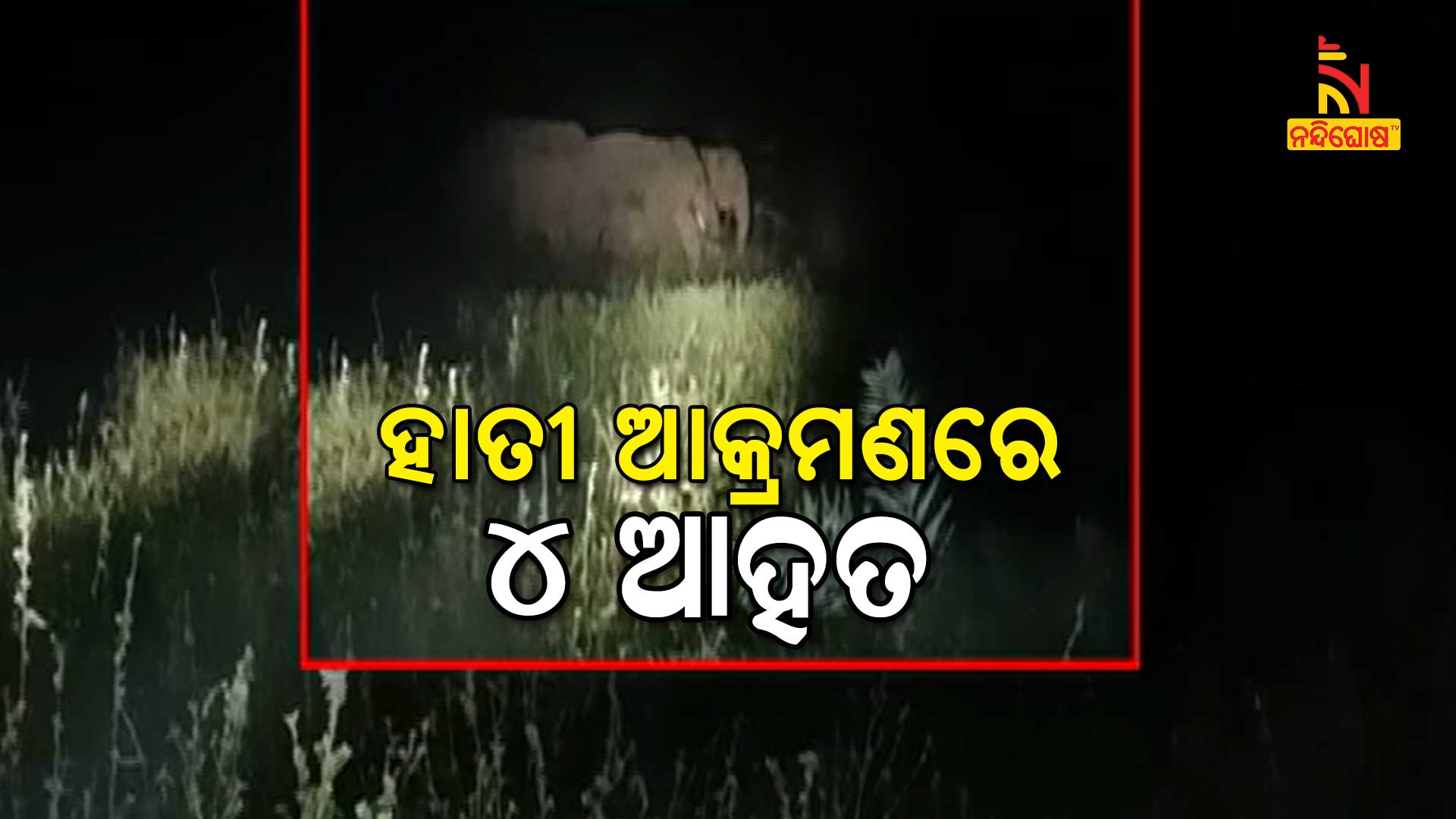 ହାତୀ-ଆକ୍ରମଣରେ-୪-ଆହତ