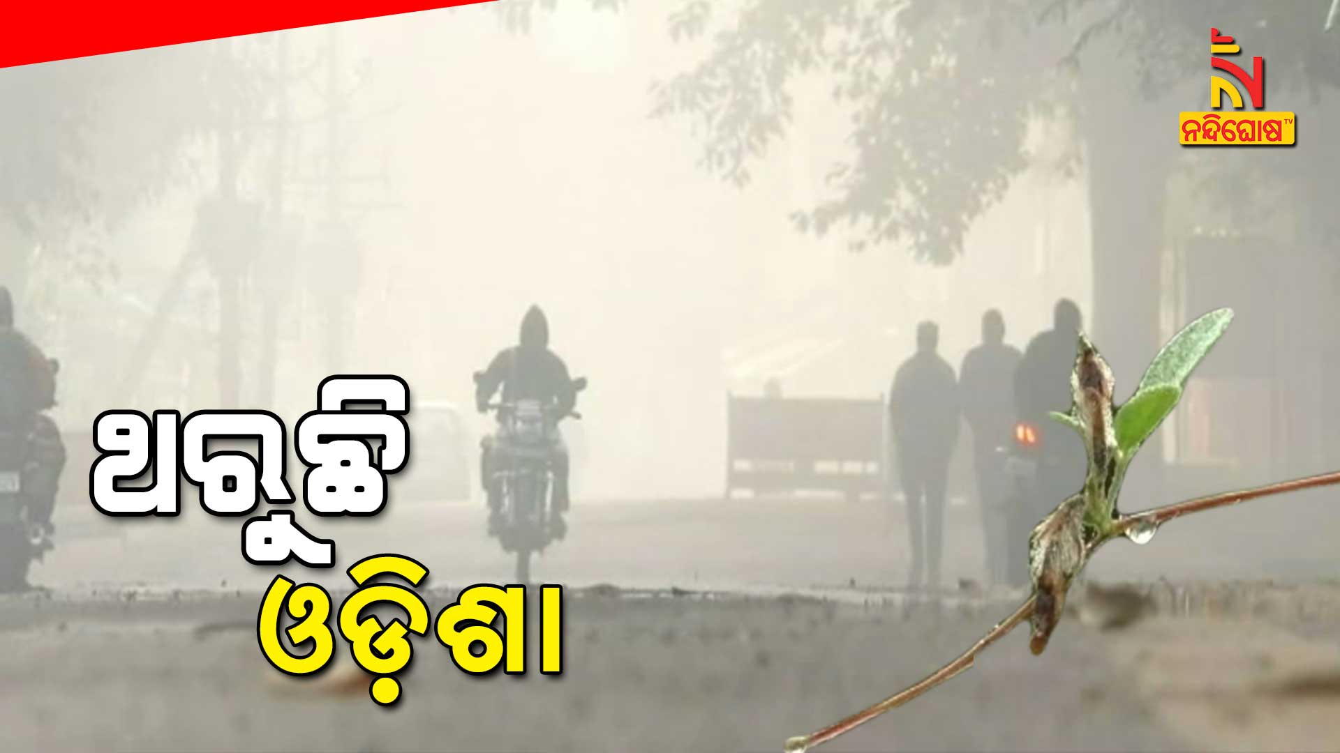 Cold Wave Grips Odisha, Mercury Falls 8.5 Degree In Daringabadi Cold Wave Grips Odisha, Mercury Falls 8.5 Degree In Daringabadi