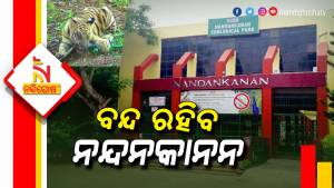 Nandankanan Zoological Park Closed For Visitors In New Year Omicron