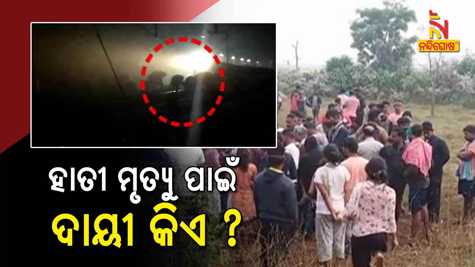 Who Is Responsible For Two Elephant Death By Train Who Is Responsible For Two Elephant Death By Train