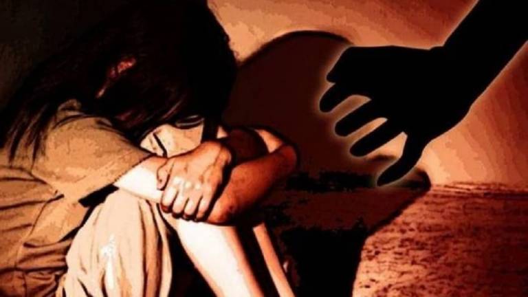 Accused Saw Porn In Mobile Before Rape In Bihar