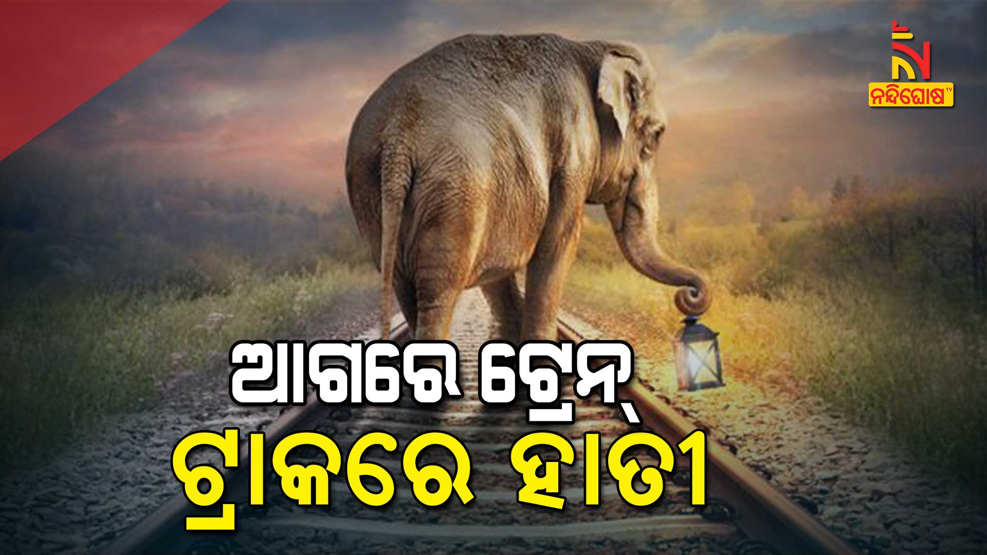 ଆଗରେ-ଟ୍ରେନ୍-ଟ୍ରାକରେ-ହାତୀ