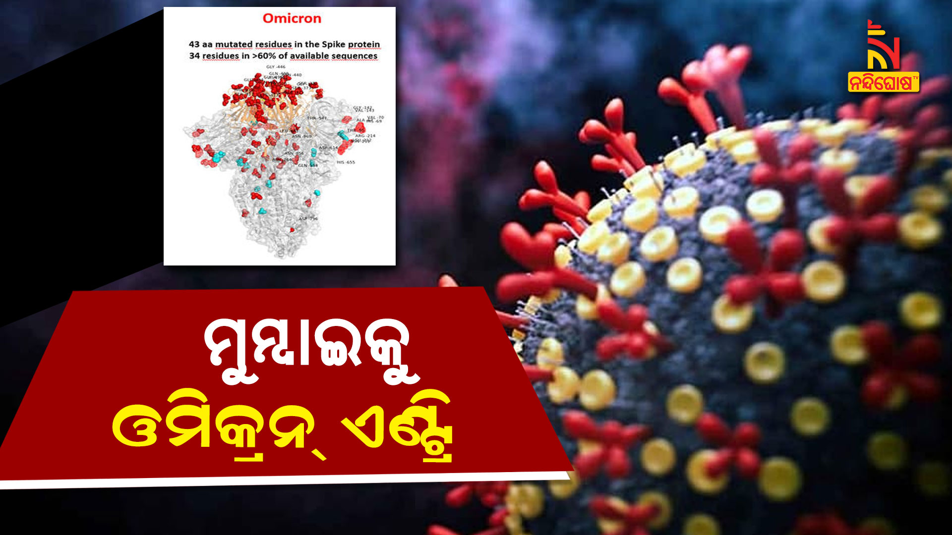 ମୁମ୍ବାଇକୁ-ଓମିକ୍ରନ୍-ଏଣ୍ଟ୍ରି