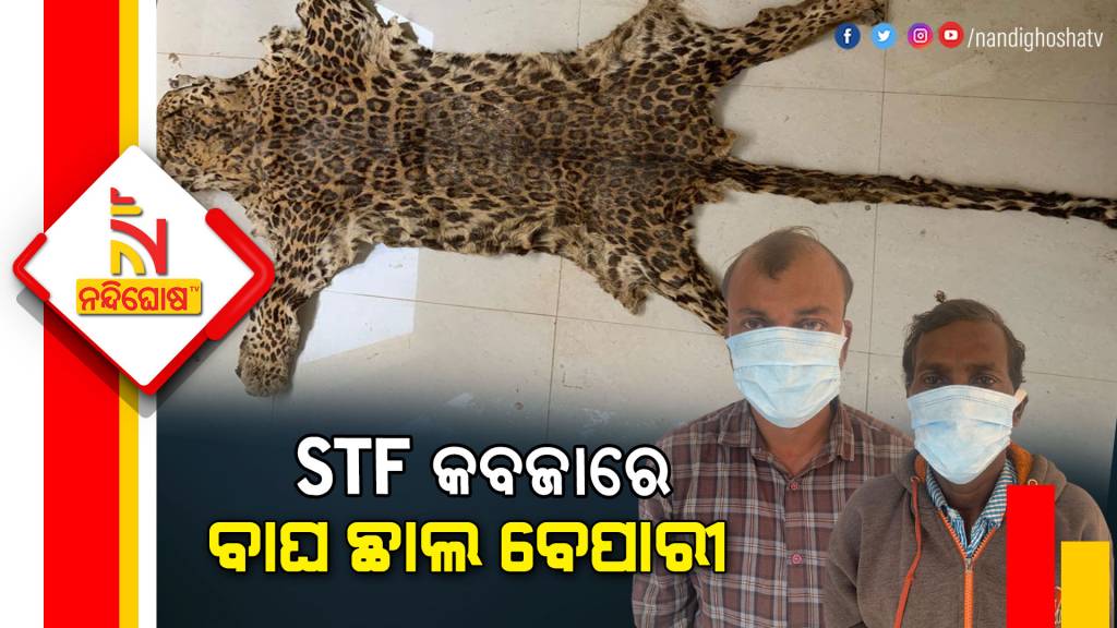 STF Seized Two Leopard Skin In Betanati