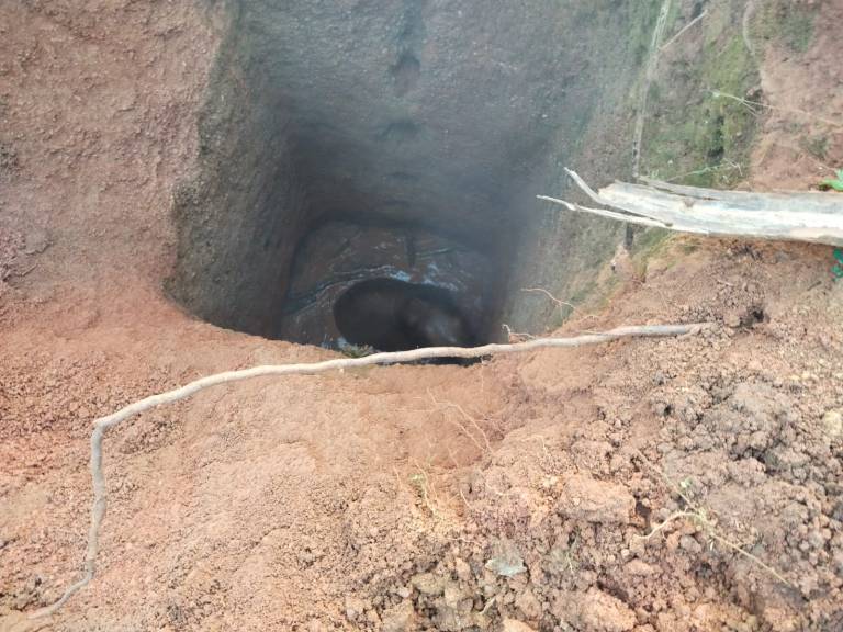 Child Elephant Fall In Well
