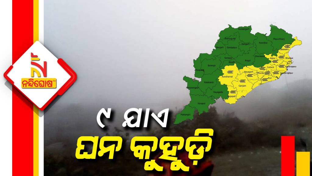 Dense Fog Yellow Warning To Different Districts Of Odisha