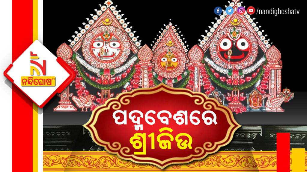 The magnificent Padma Besha of the deities