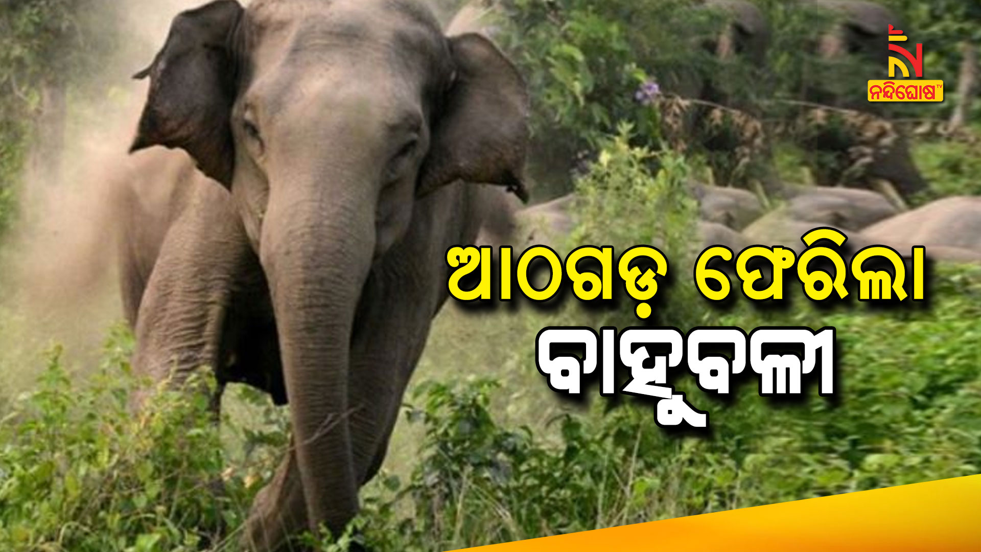 ଆଠଗଡ଼-ଫେରିଲା-ବାହୁବଳୀ