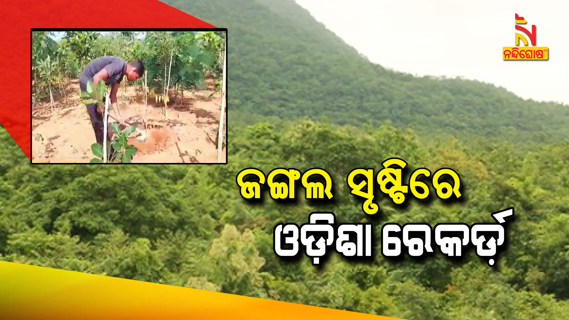 ଜଙ୍ଗଲ-ସୃଷ୍ଟିରେ-ଓଡ଼ିଶା-ରେକର୍ଡ଼