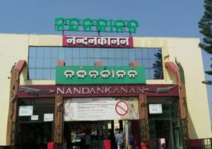 Nandankanan Zoo Lion Shyama Dies