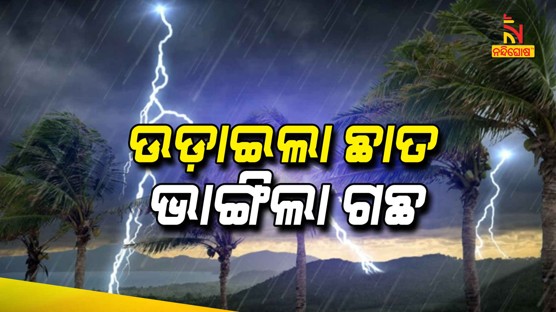ଉଡ଼ାଇଲା-ଛାତ,-ଭାଙ୍ଗିଲା-ଗଛ