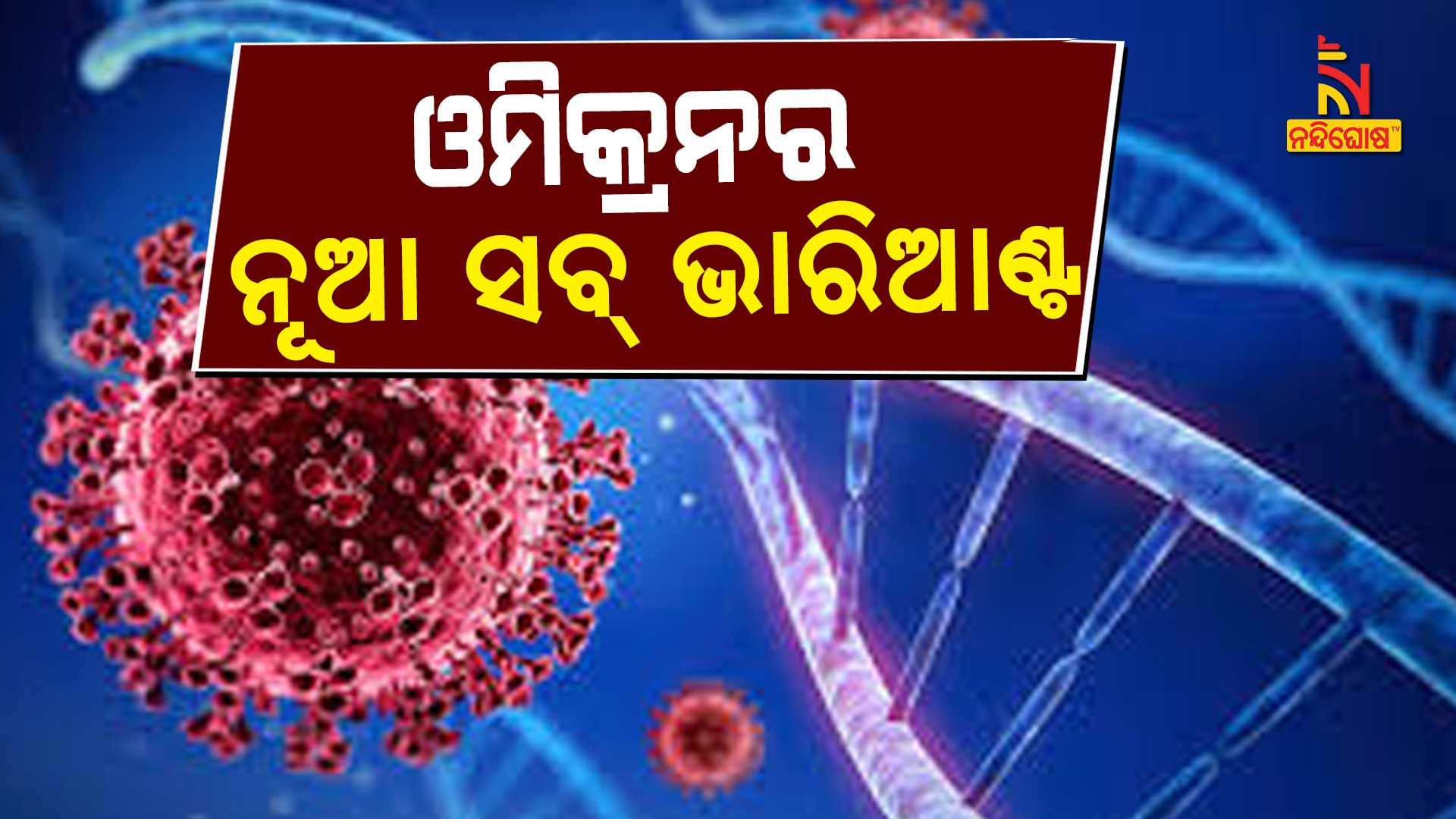 New Sub Variant Of Omicron Spotted In India New Sub Variant Of Omicron Spotted In India