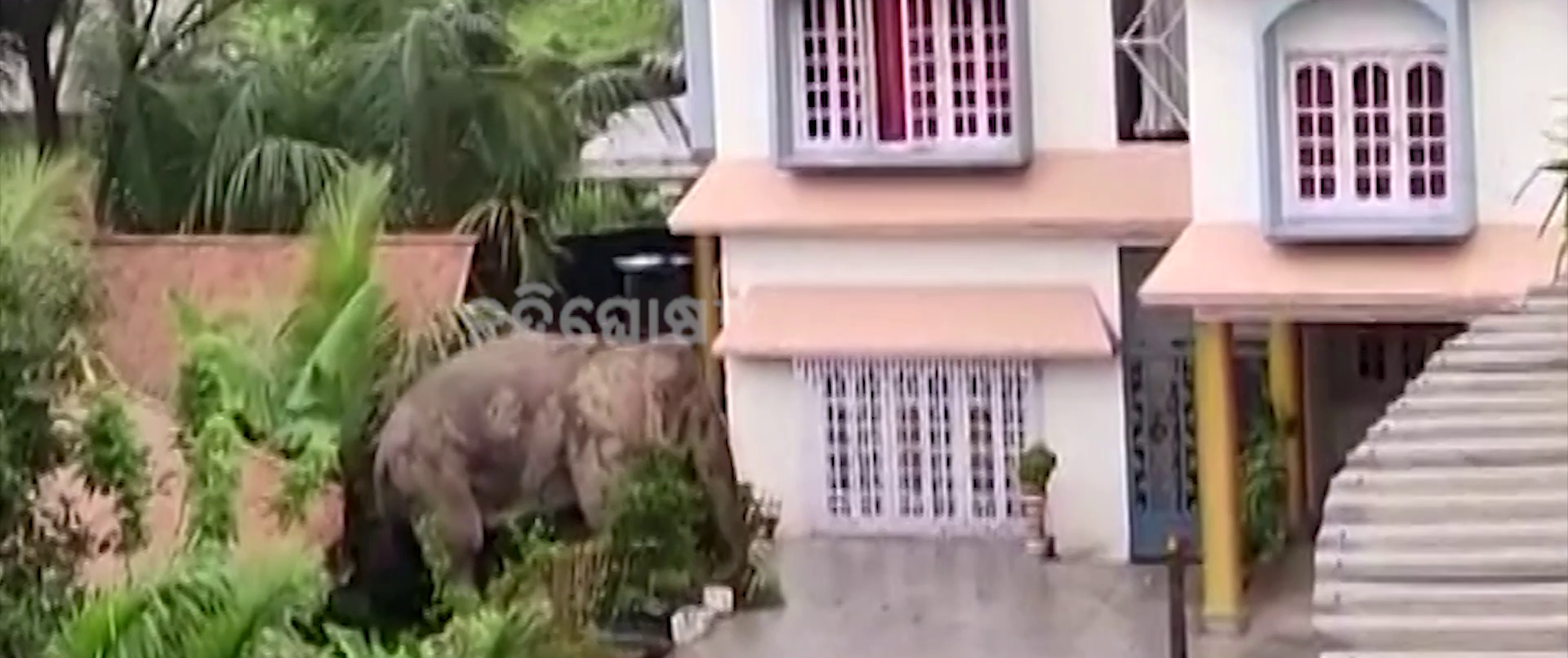 vlcsnap-2022-05-13-20h16m50s95