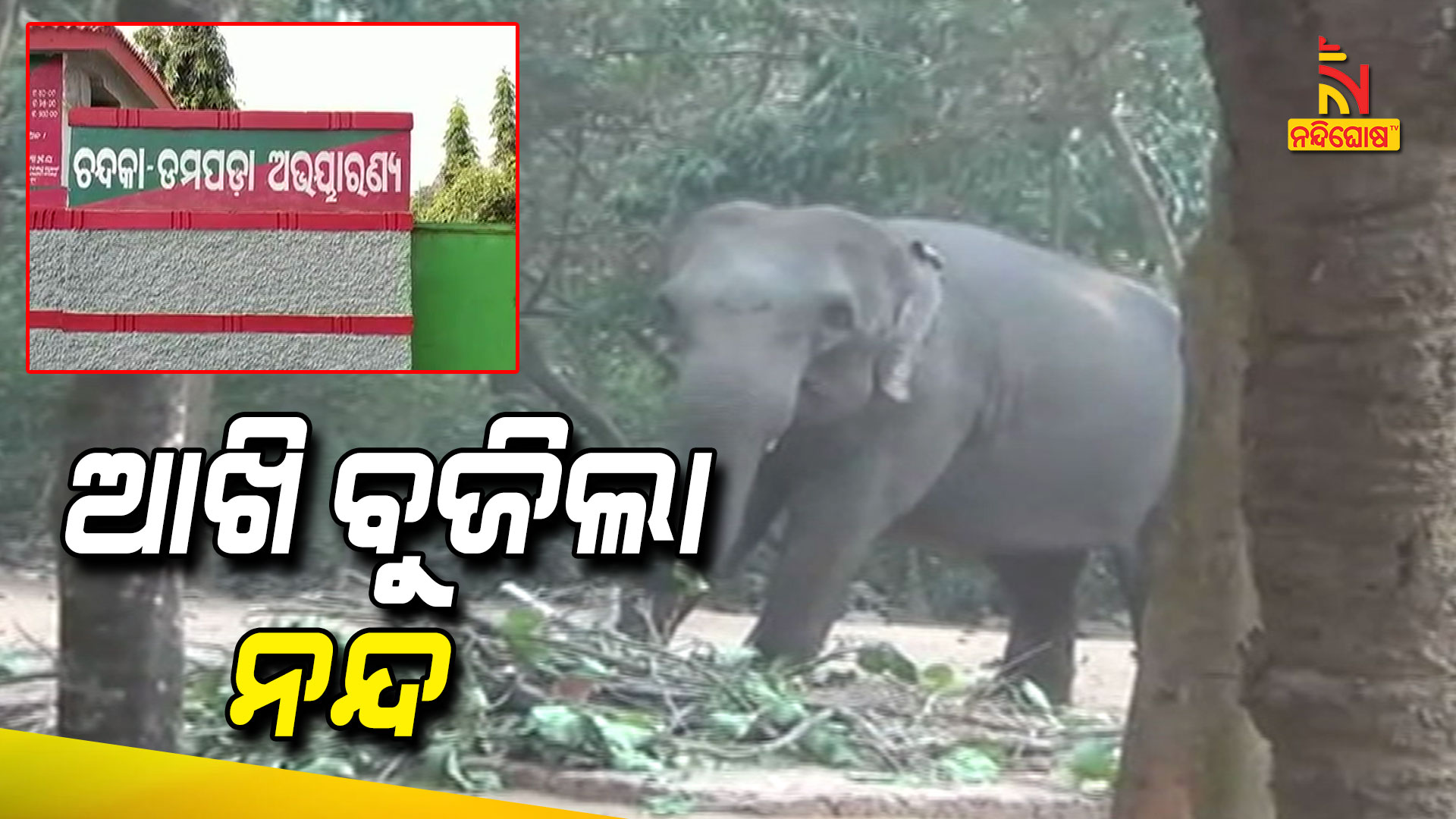 ଆଖି-ବୁଜିଲା-ନନ୍ଦ