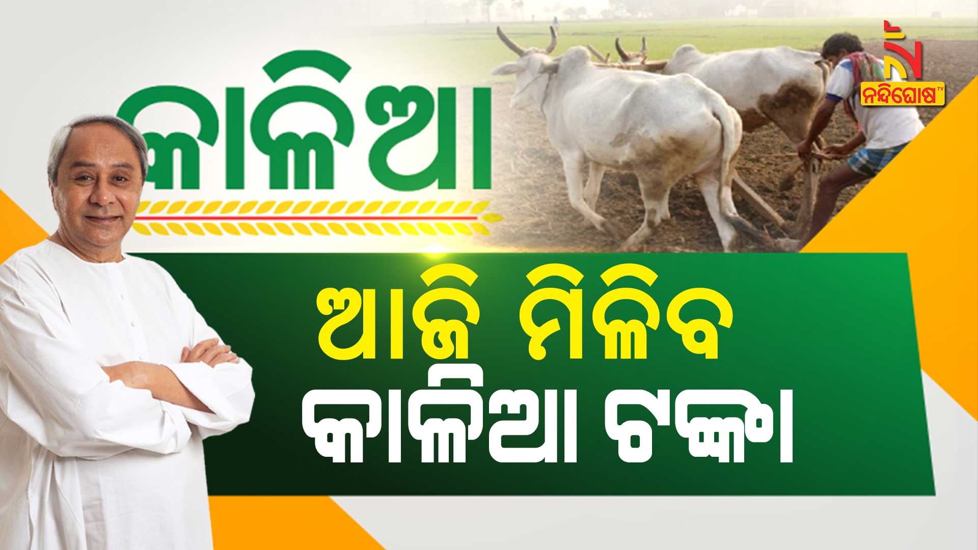 ଆଜି-ମିଳିବ-କାଳିଆ-ଟଙ୍କା