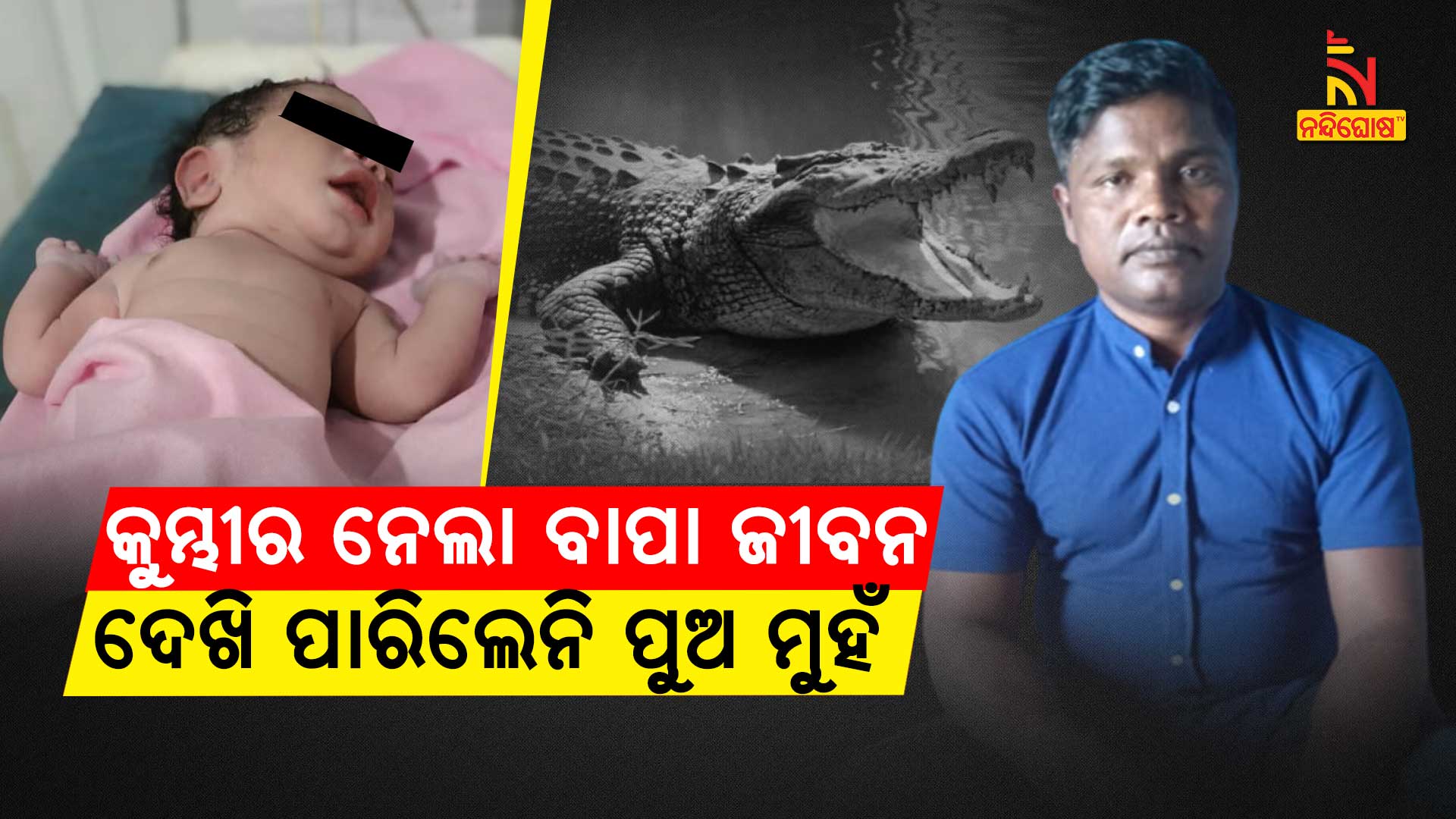 କୁମ୍ଭୀର-ନେଲା-ବାପା-ଜୀବନ----ଦେଖି-ପାରିଲେନି-ପୁଅ-ମୁହଁ