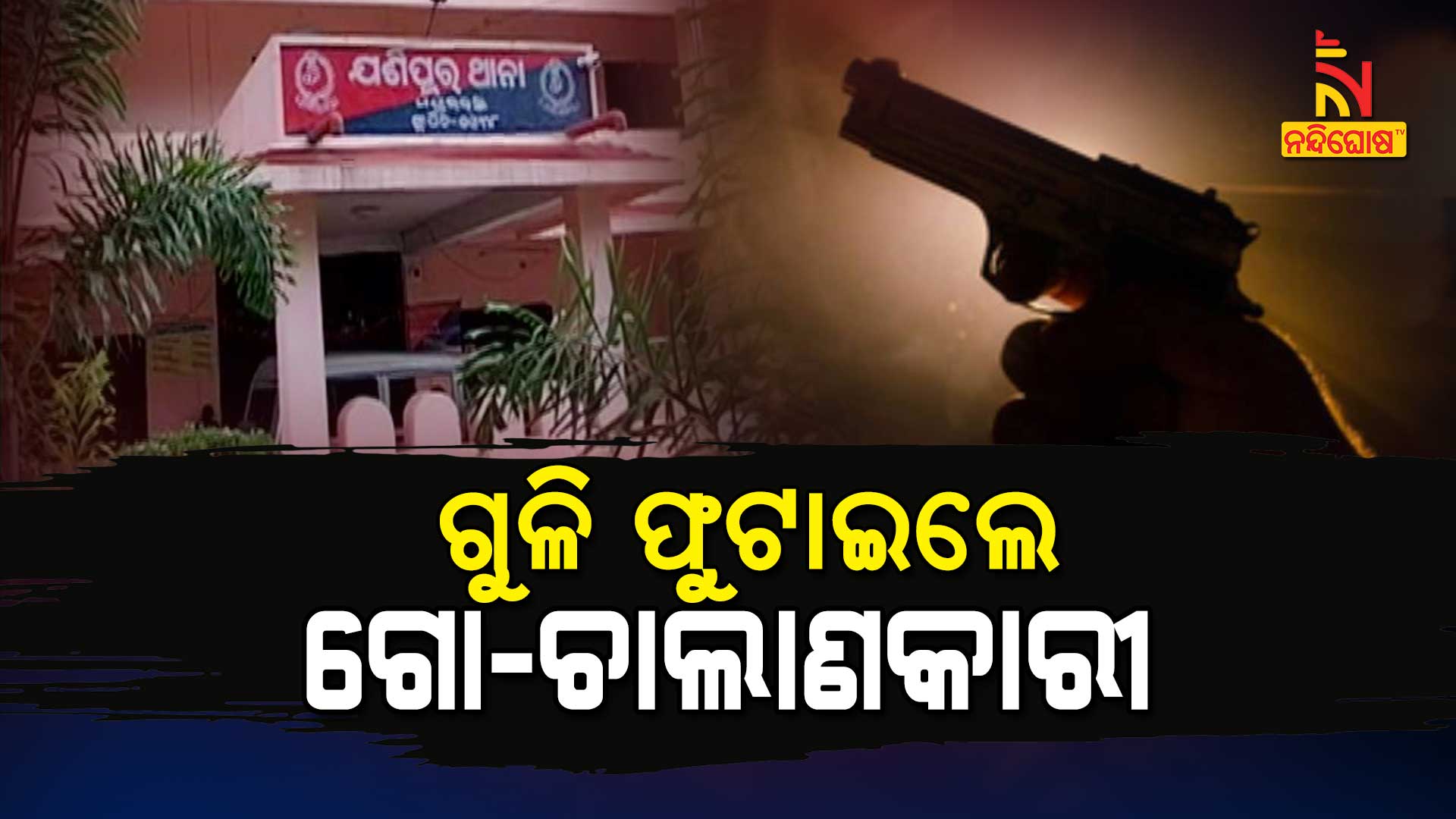 ଗୁଳି-ଫୁଟାଇଲେ-ଗୋ-ଚାଲାଣକାରୀ