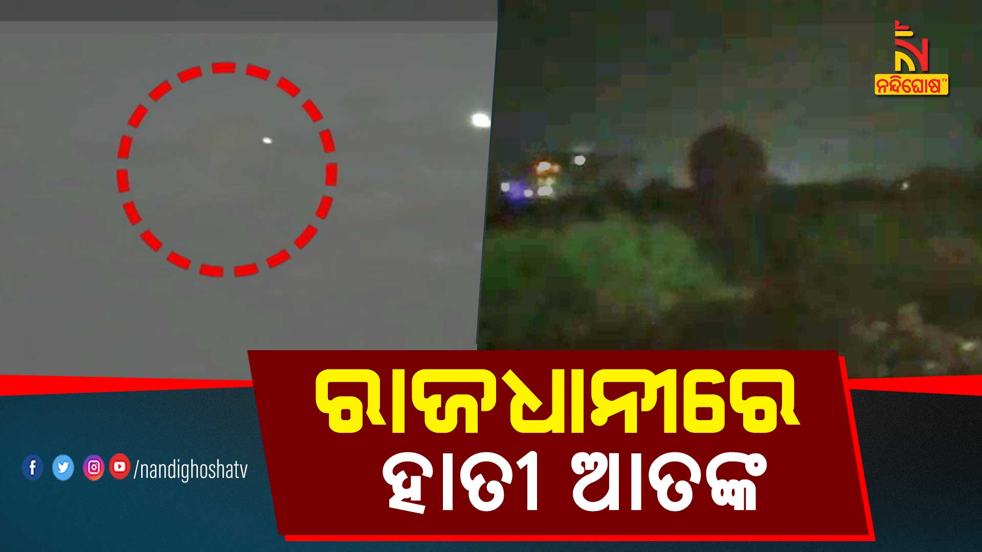 ରାଜଧାନୀରେ-ହାତୀ-ଆତଙ୍କ