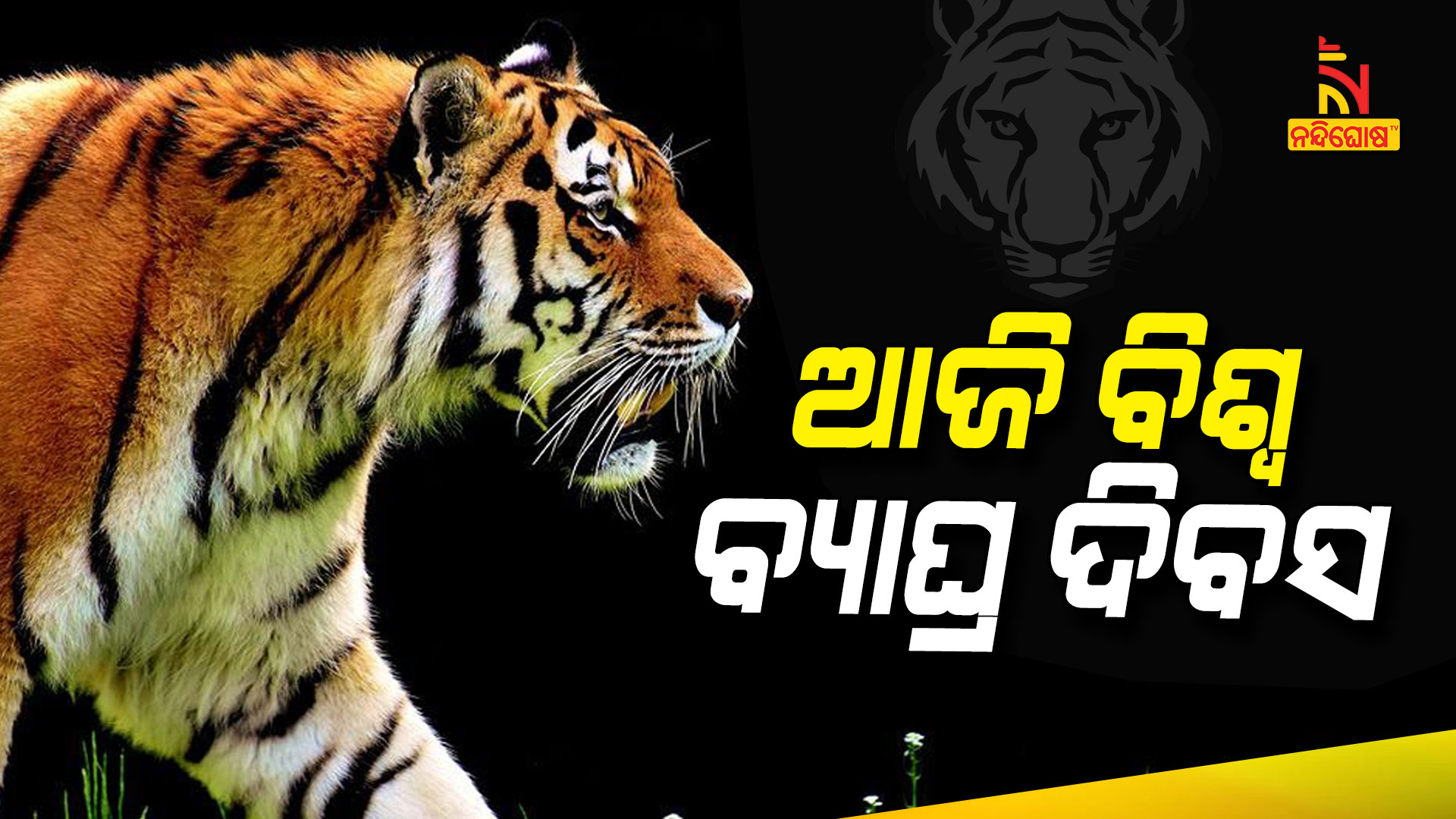 ଆଜି-ବିଶ୍ବ--ବ୍ୟାଘ୍ର-ଦିବସ