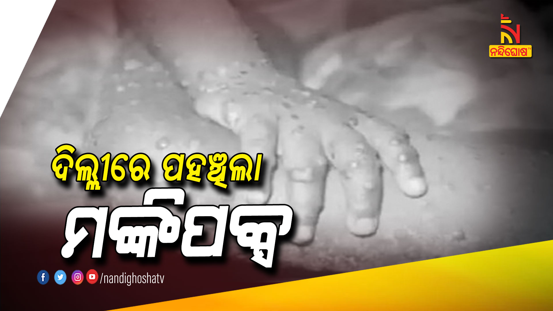 ଦିଲ୍ଲୀରେ-ପହଞ୍ଚିଲା-ମଙ୍କିପକ୍ସ