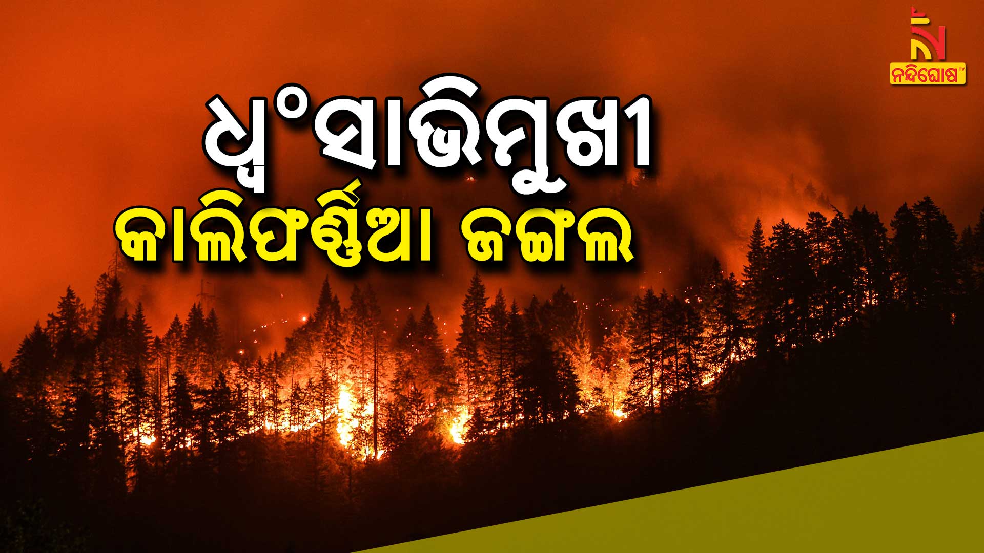 ଧ୍ବଂସାଭିମୁଖୀ-କାଲିଫର୍ଣ୍ଣିଆ-ଜଙ୍ଗଲ