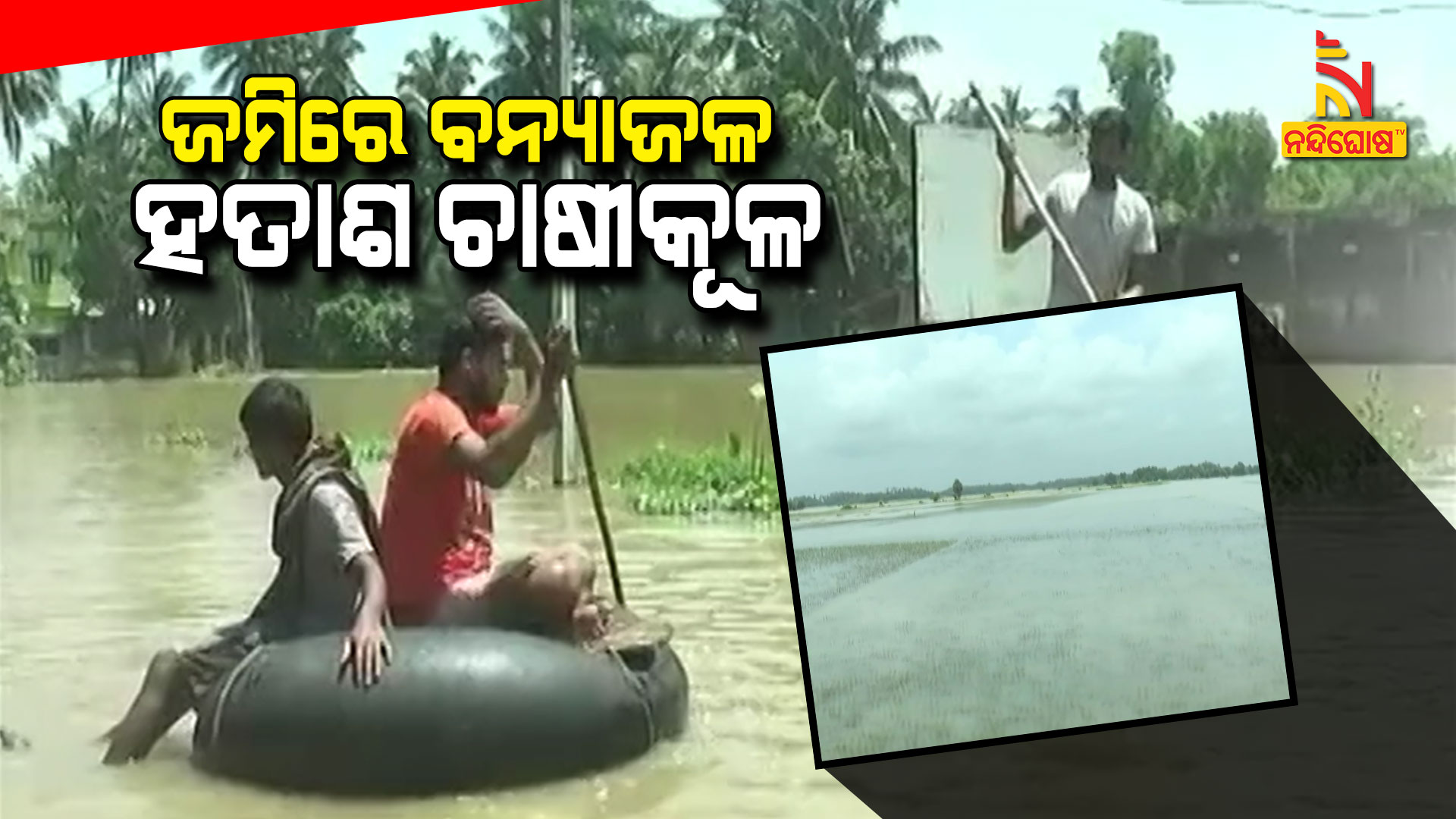 ଜମିରେ-ବନ୍ୟାଜଳ