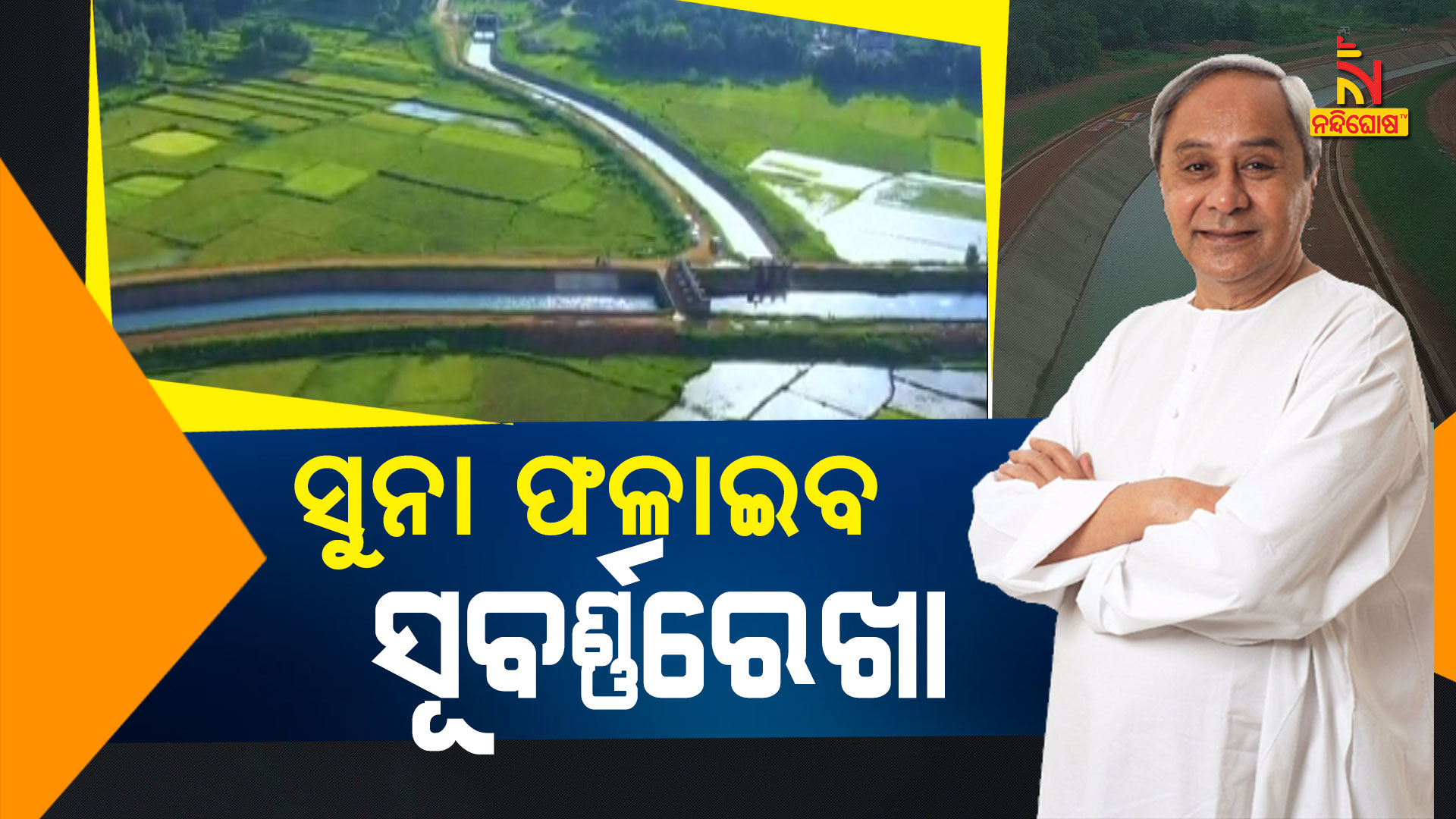 ସୁନା-ଫଳାଇବ-ସୁବର୍ଣ୍ଣରେଖା