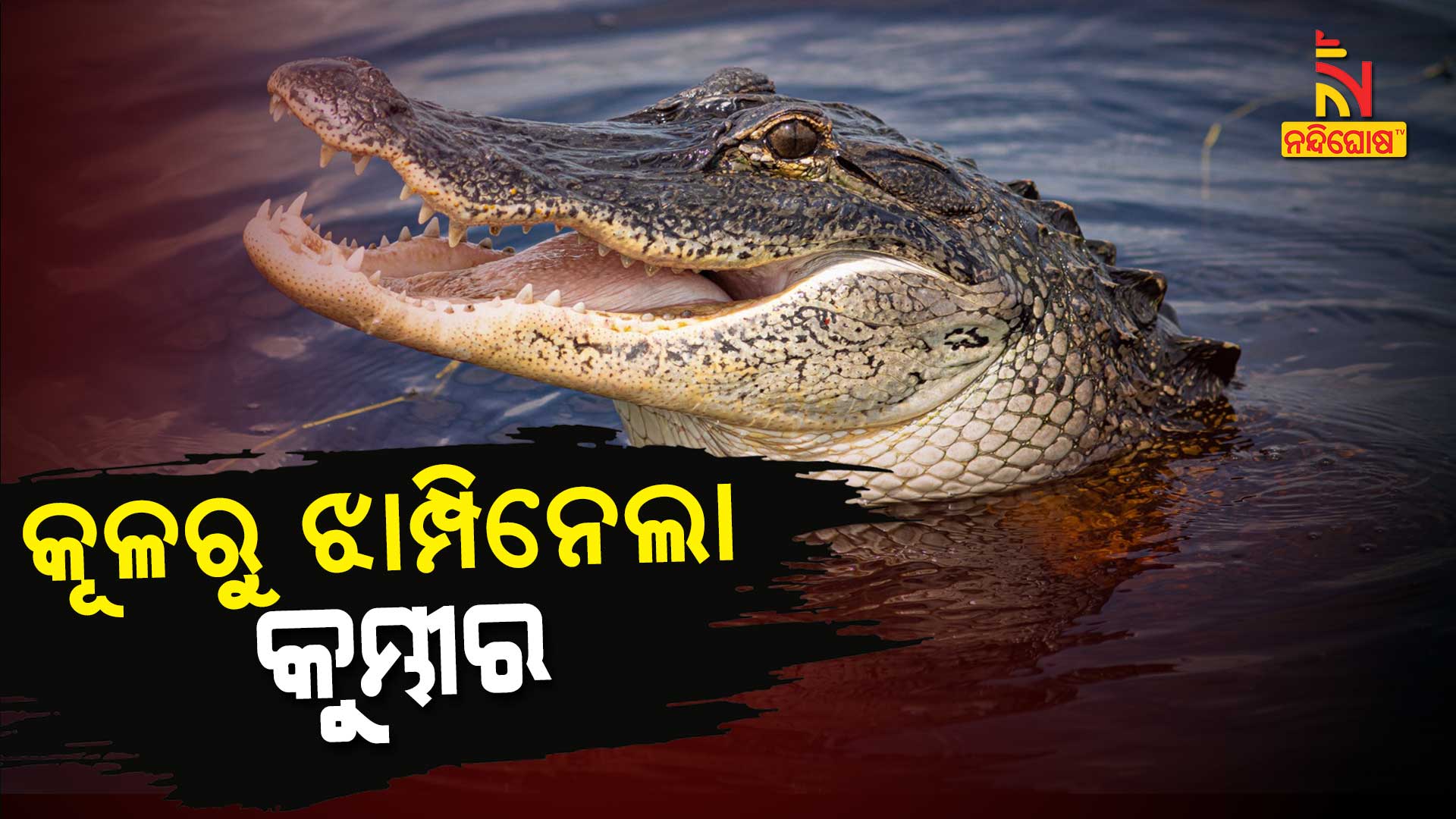 କୂଳରୁ-ଝାମ୍ପିନେଲା-କୁମ୍ଭୀର