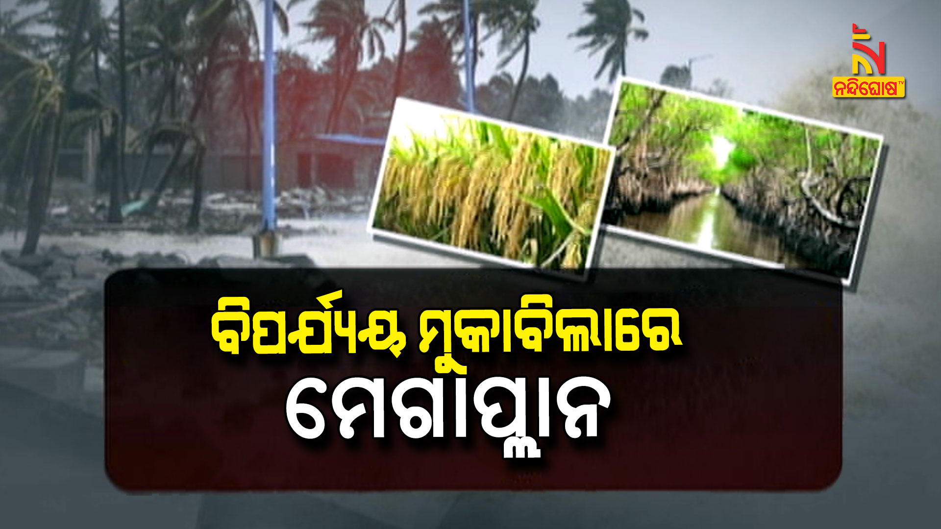 ବିପର୍ଯ୍ୟୟ-ମୁକାବିଲାରେ-ମେଗାପ୍ଲାନ