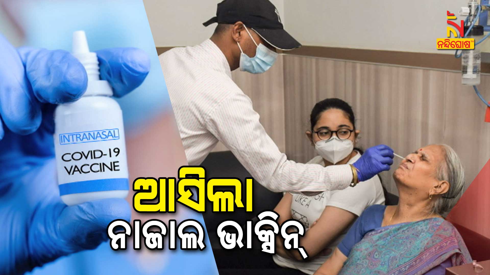ଆସିଲା-ନାଜାଲ-ଭାକ୍ସିନ୍