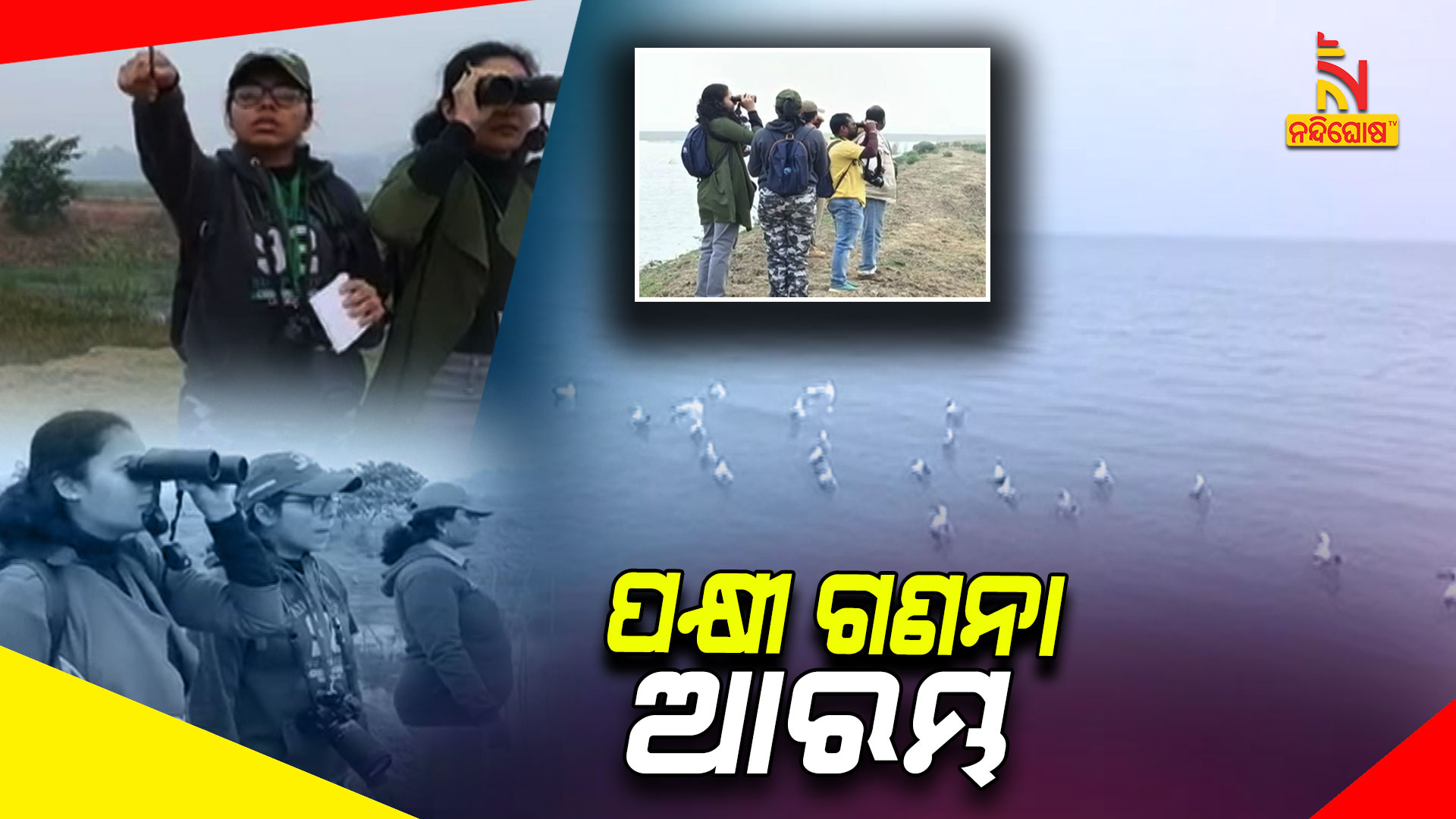 ପକ୍ଷୀ-ଗଣନା-ଆରମ୍ଭ