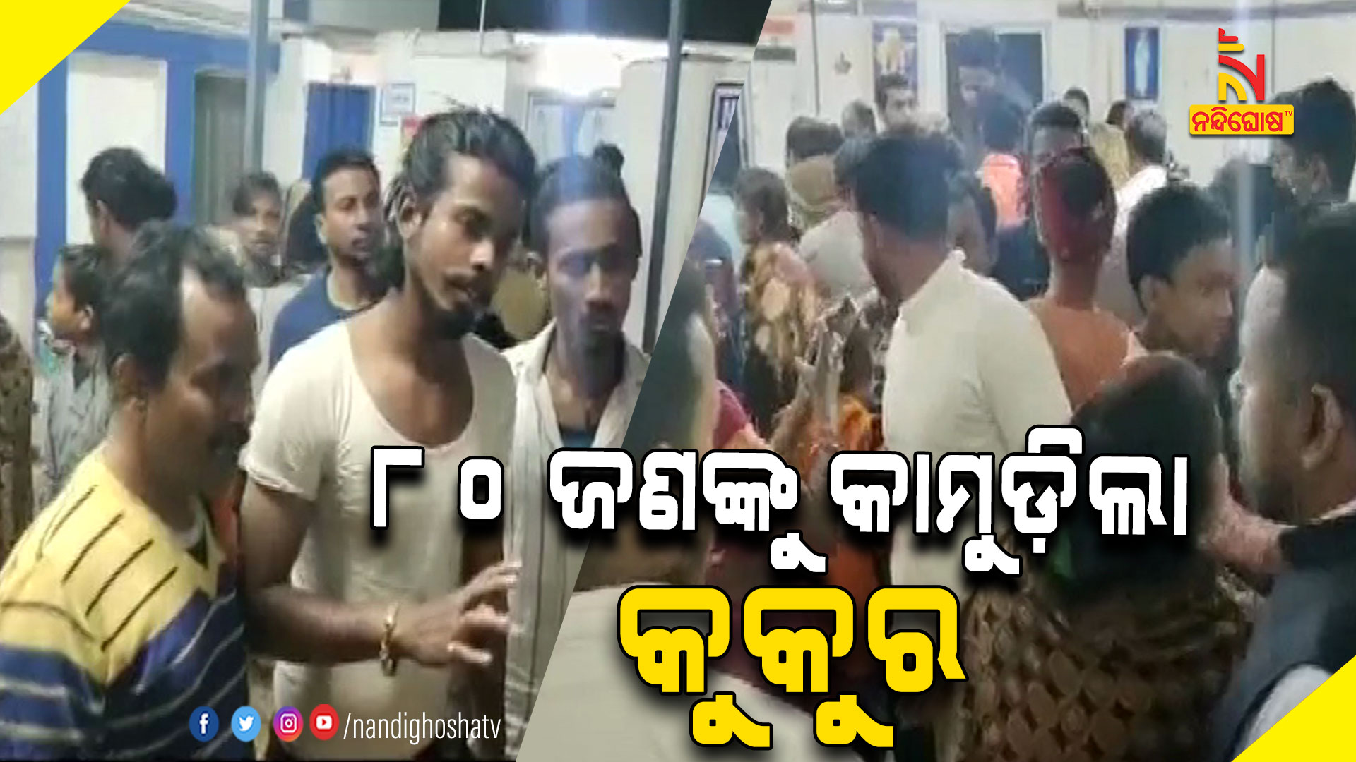୮୦-ଜଣଙ୍କୁ-କାମୁଡ଼ିଲା-କୁକୁର-DOG_BITTEN