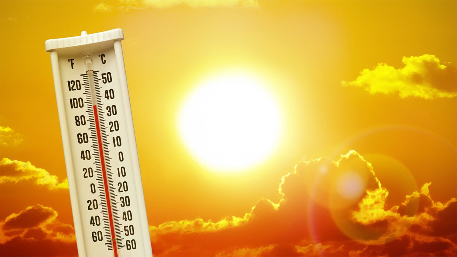 Heat Wave