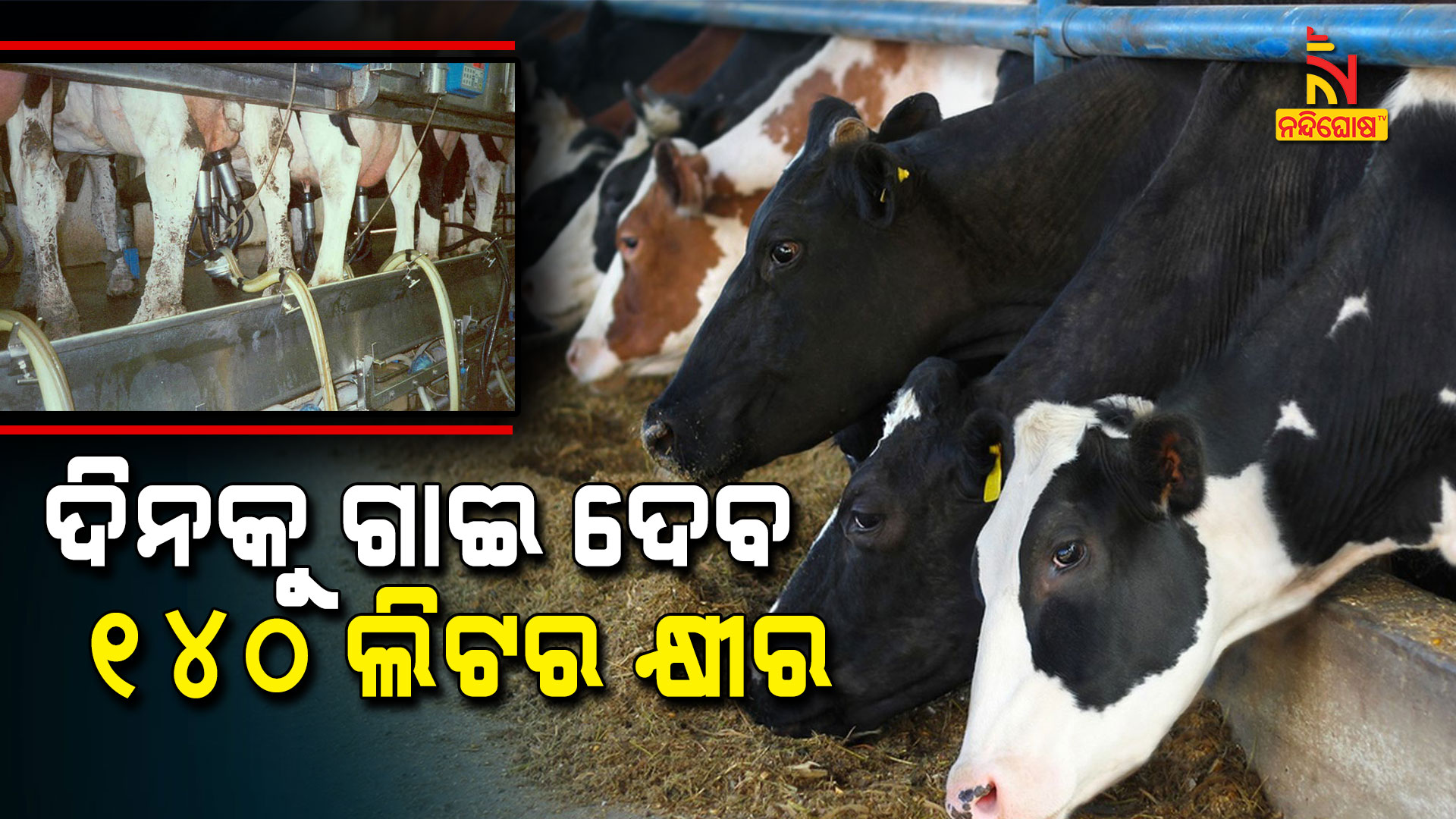 ଦିନକୁ-ଗାଇ-ଦେବ-୧୪୦-ଲିଟର-କ୍ଷୀର