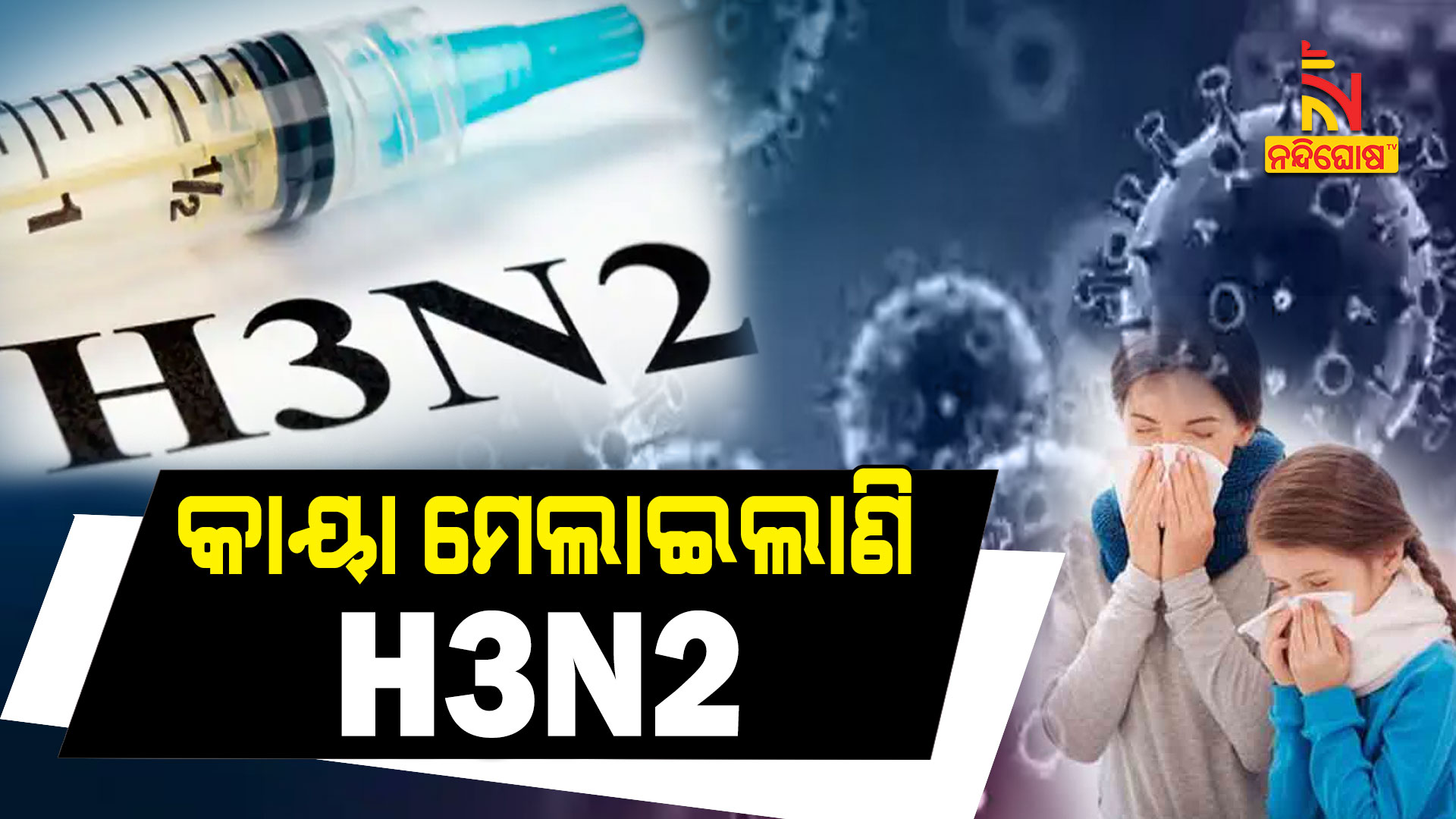 କାୟା-ମେଲାଇଲାଣି-H3N2